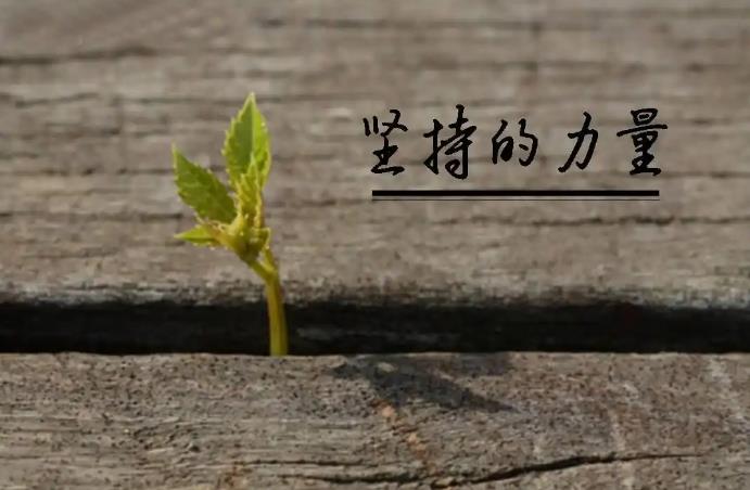 做事情，为何总是三分钟热度？